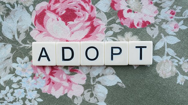 Adoption Month