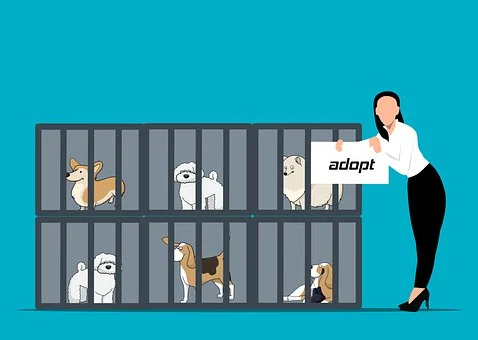 Adopt A Dog