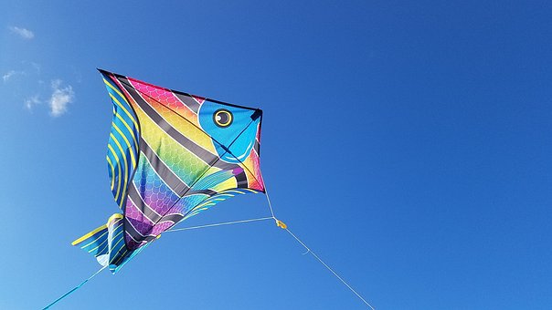 Kite