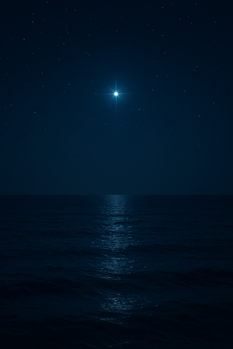 follow the star