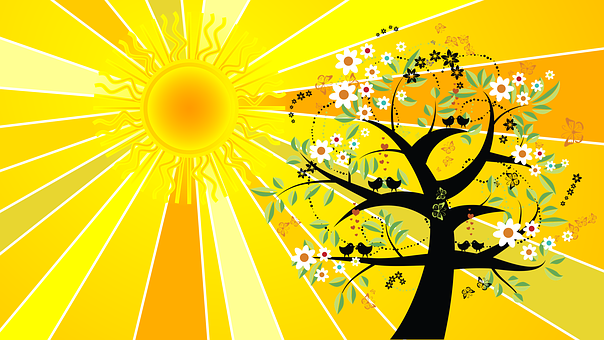 solstice summer