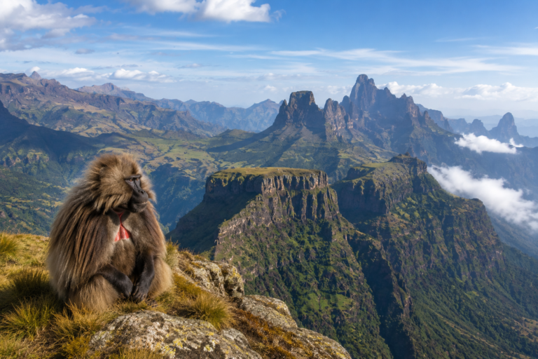 Simien Mountains National Park, Ethiopia